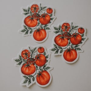 Tomato Sticker, Tomato Watercolor, Tomato Aesthetic, Vegetable Sticker, Food Sticker, Sticker, Stationary