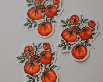 Tomato Sticker