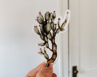Cactus Blossom Sticker