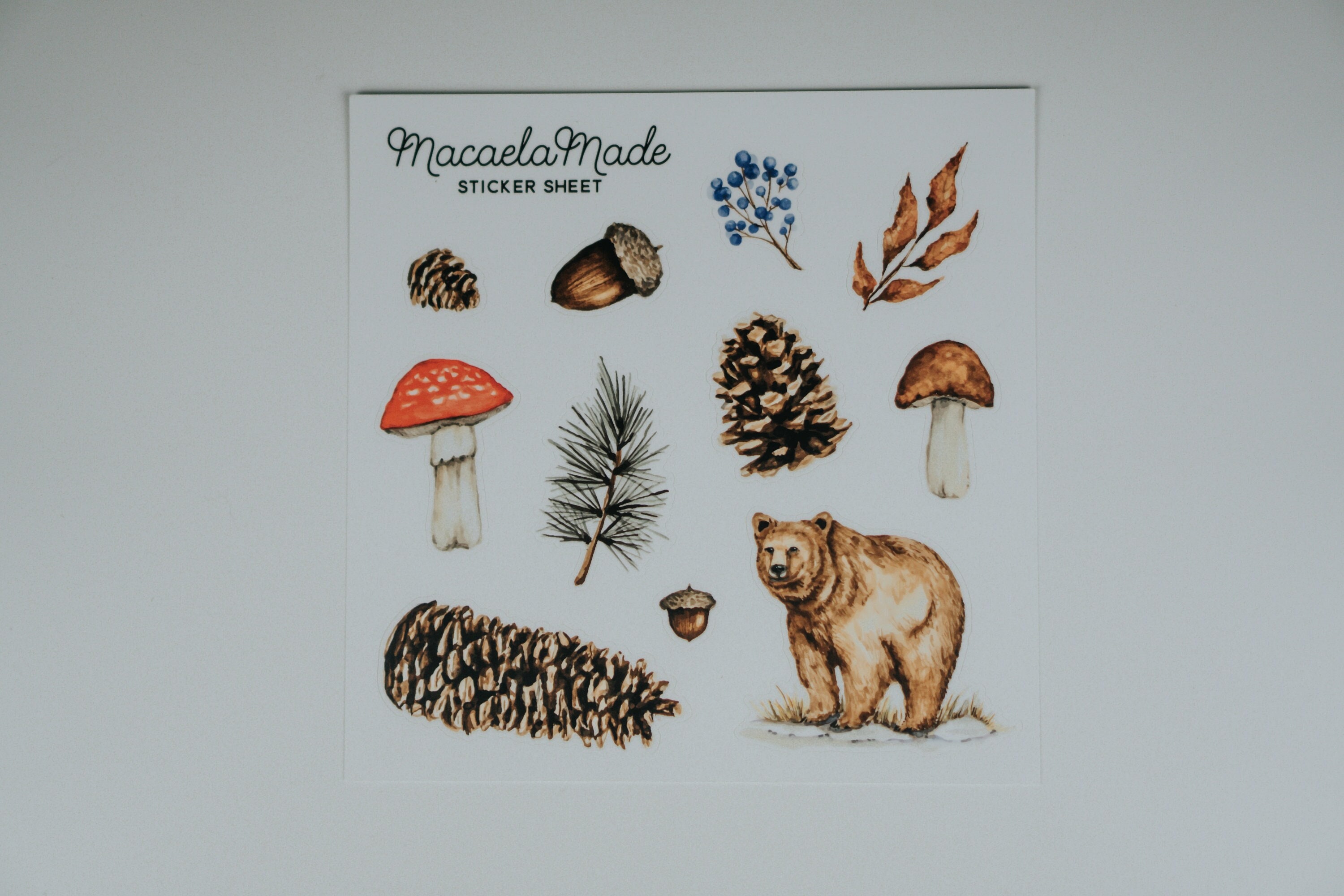 Winter Forest Botanical Sticker Sheet, Pine Cone, Mushroom, Forest, Acorn,  Sticker Sheet, Vinyl, Die Cut