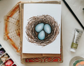 Bird's Nest Spring Greeting Card