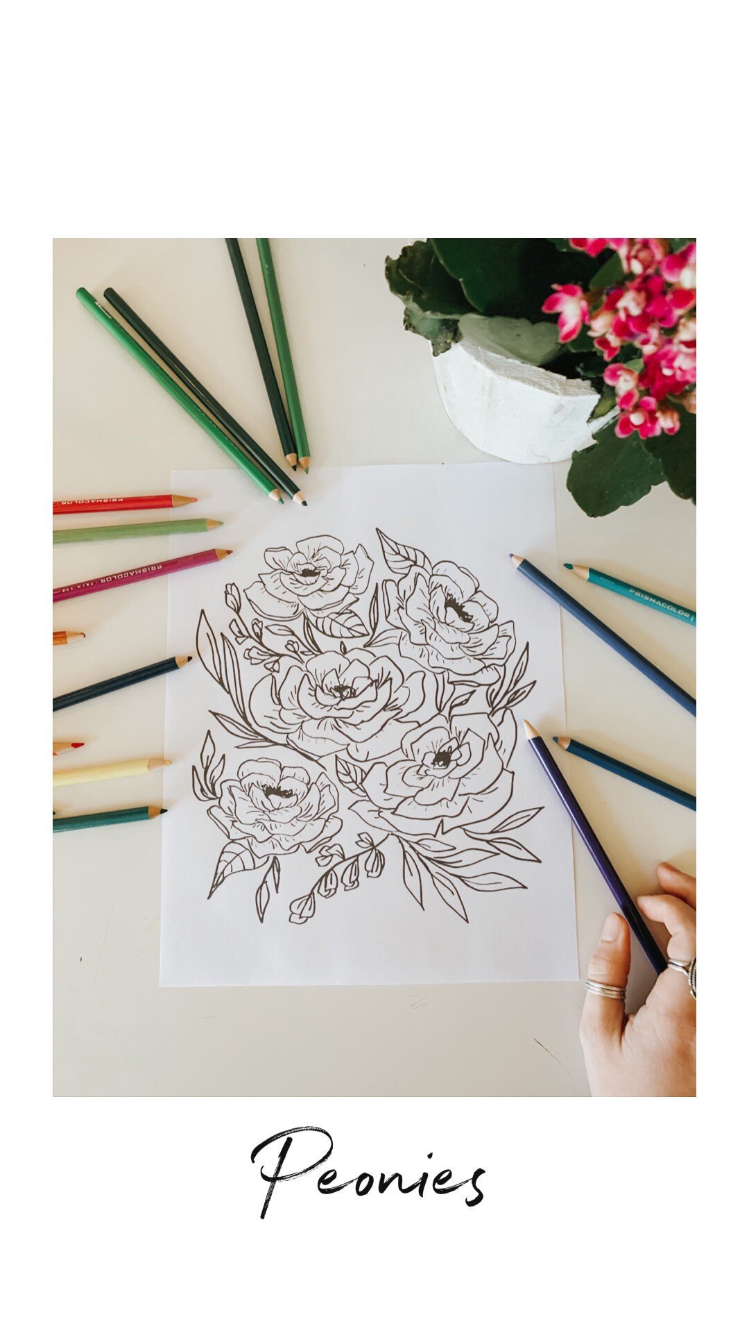 Printable Peony Coloring Sheet