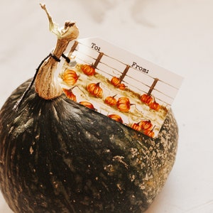 May include: A green squash with a brown stem and a gift tag attached. The tag has a watercolor illustration of pumpkins and the words "To:" and "From:".