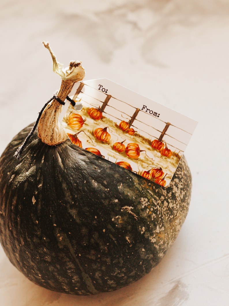 May include: A green squash with a brown stem and a gift tag attached. The tag has a watercolor illustration of pumpkins and the words "To:" and "From:".