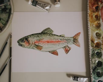 Rainbow Trout Print
