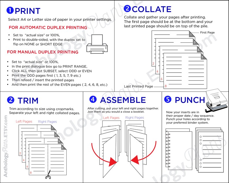 B6 Daily Schedule Printable Ring Planner Insert With Tasks, Meal Plan
