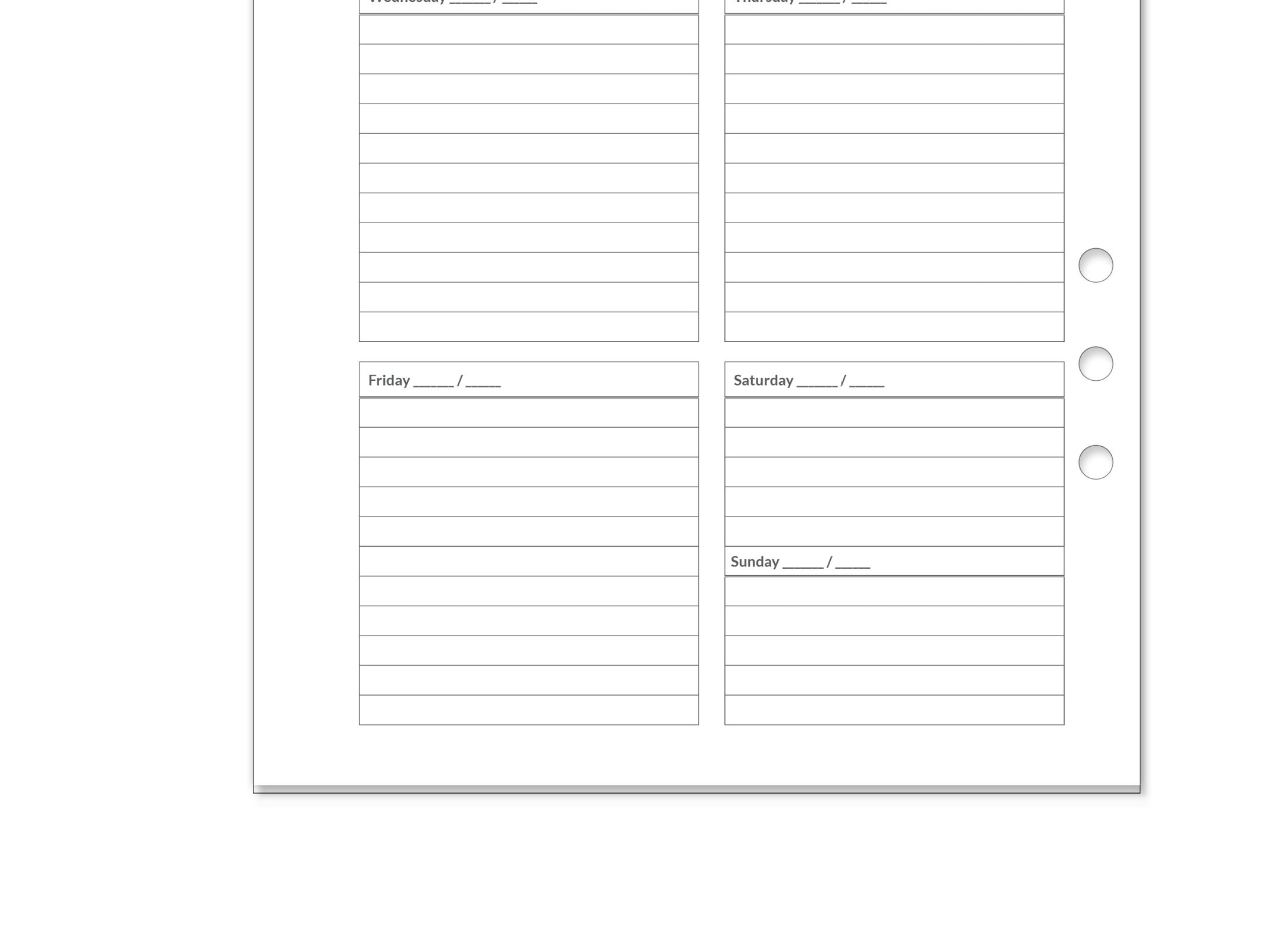 A5 Weekly View Summary Printable Insert for Ring Binders Planner Wo2p ...