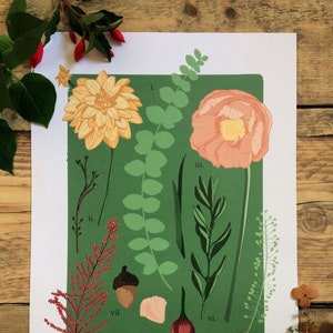 Botanical Botanicals 'Study Two' DISCONTINUED Print Floral Green Peach Print Flower Lover A4 A3 Print image 1