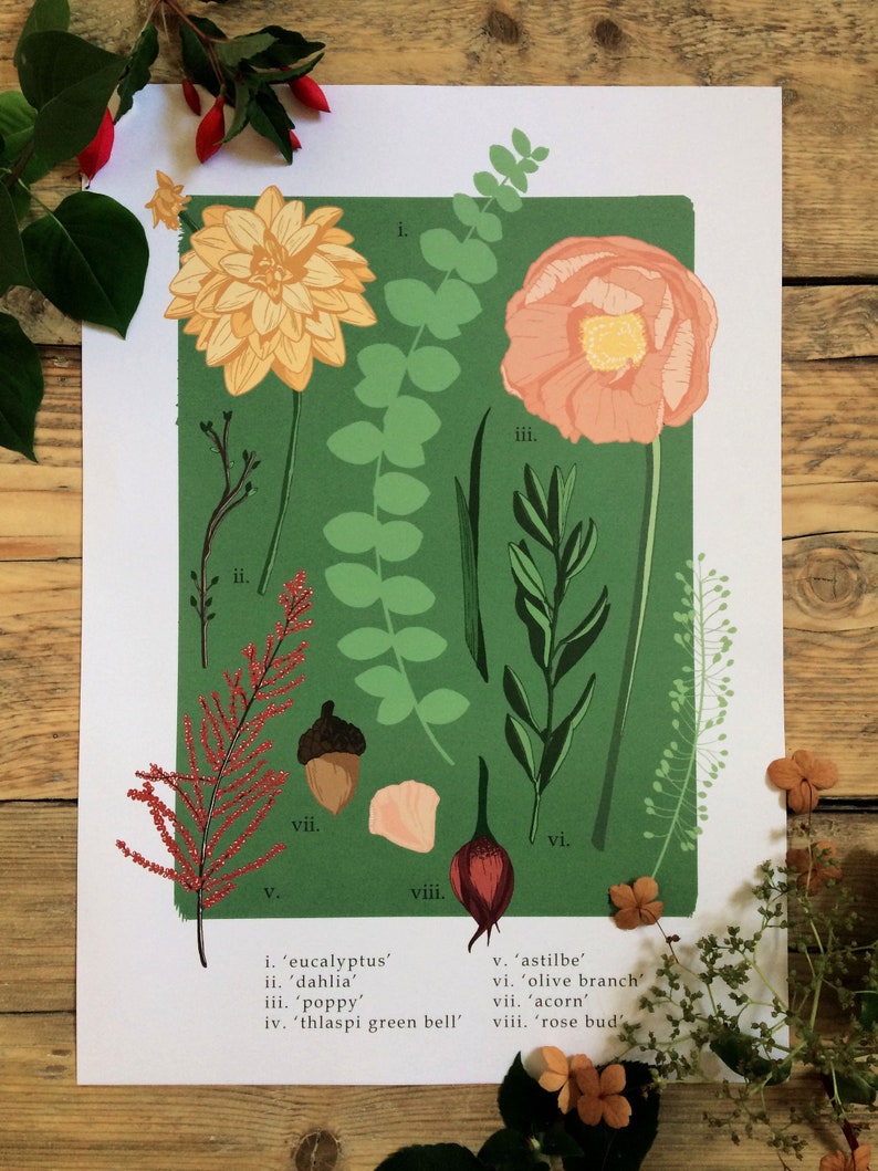 Botanical Botanicals 'Study Two' DISCONTINUED Print Floral Green Peach Print Flower Lover A4 A3 Print image 1