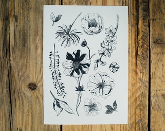 Botanical Botanicals Risograph Study Print | One Colour | Black | Floral Flower A4 Recycled Eco Paper Pattern Wall Art