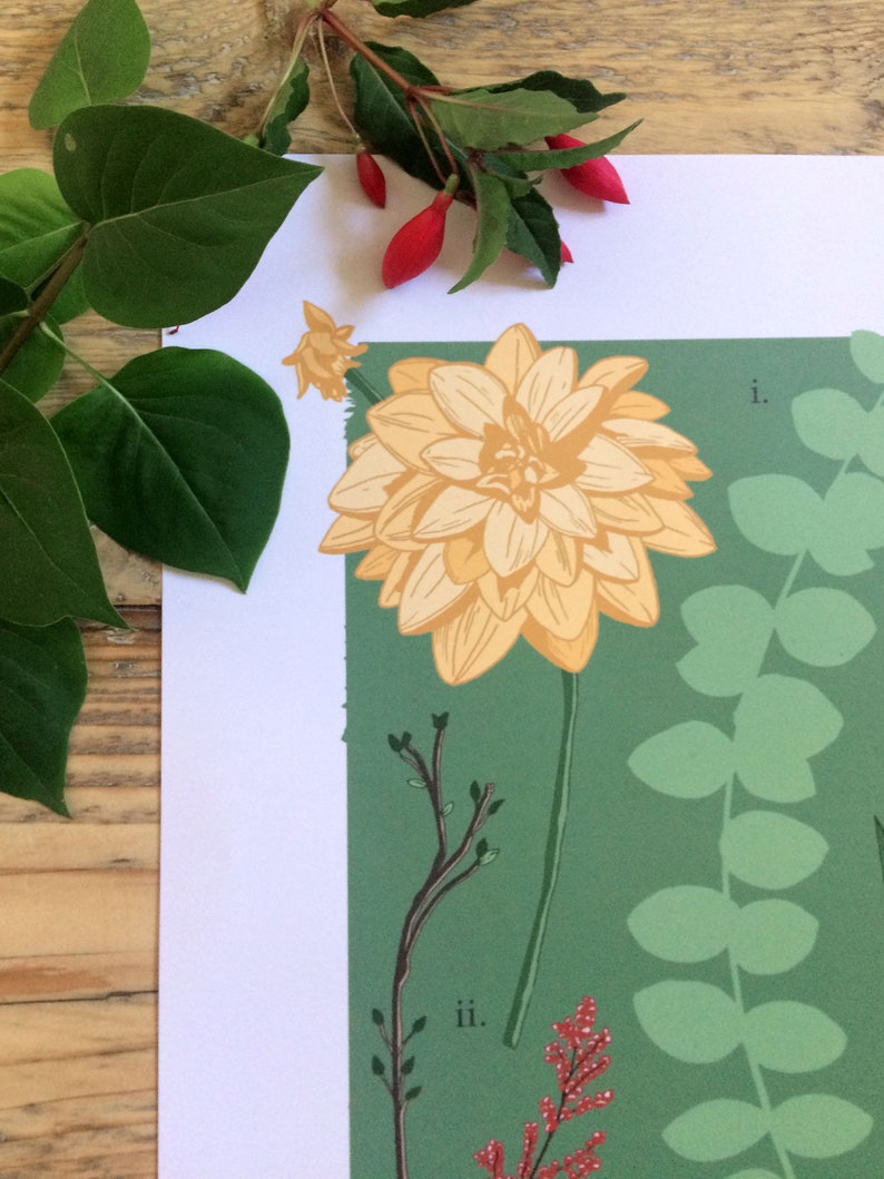 Botanical Botanicals 'Study Two' DISCONTINUED Print Floral Green Peach Print Flower Lover A4 A3 Print image 4