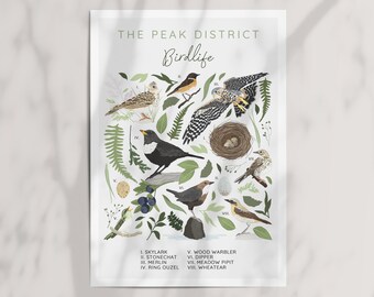 The Peak District Birdlife Illustrated Bird Study | A4/A3 Digital Art Print