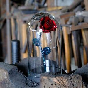 Beauty and the Beast Rose with fallen petals in glass dome on wooden base - Gift for Valentine&#39;s Day, Mother&#39;s Day, 6th Wedding Anniversary