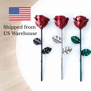 Eternal Wrought Iron Rose - Gift for Valentine&#39;s Day, Mother&#39;s Day, 6th Year Wedding Anniversary (2color collection)