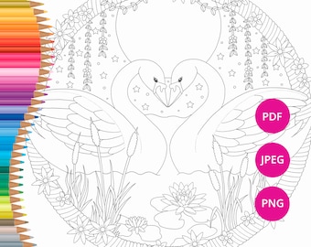 Valentines Coloring Pages Swan Adult Book Romantic For Adults Colouring Sheets PDF Download