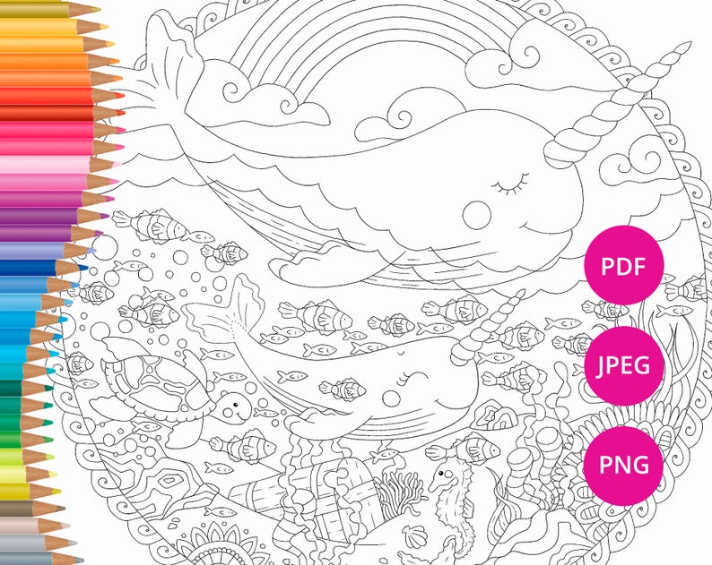 Download Narwhal Adult Coloring Pages Sea Life Coloring Page Whale Etsy