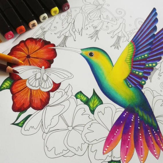 hummingbird coloring pages printable adult nature coloring page flower  colouring page for adults bird printable bontanical pdf download