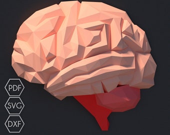 Papercraft DIY hersenen, papercraft 3D-hersenen, dxf menselijke hersenen tekenen, 3D-muurkunst, 3D-wanddecor, laag poly muurkunst, laag poly kunst, origami