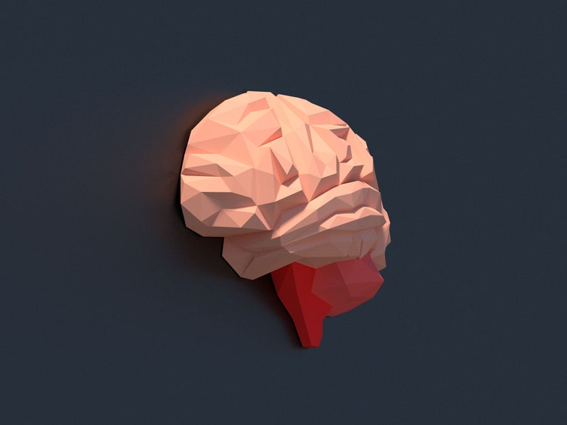 May include: A pink and red origami brain sculpture. The sculpture is made of paper and has a three-dimensional design.