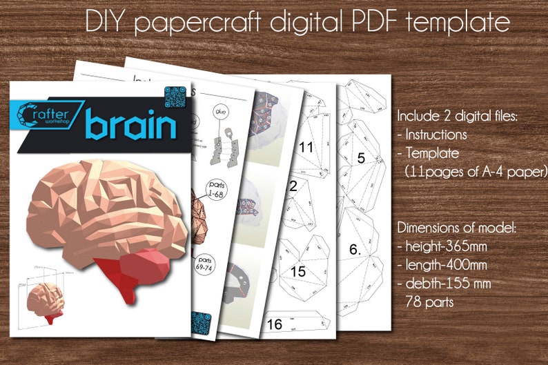 May include: A digital papercraft PDF template for building a 3D model of a human brain. The template includes 11 pages of instructions and parts, and the finished model is 14.4 inches tall, 15.7 inches long, and 6.1 inches deep. The model is made up of 78 parts.