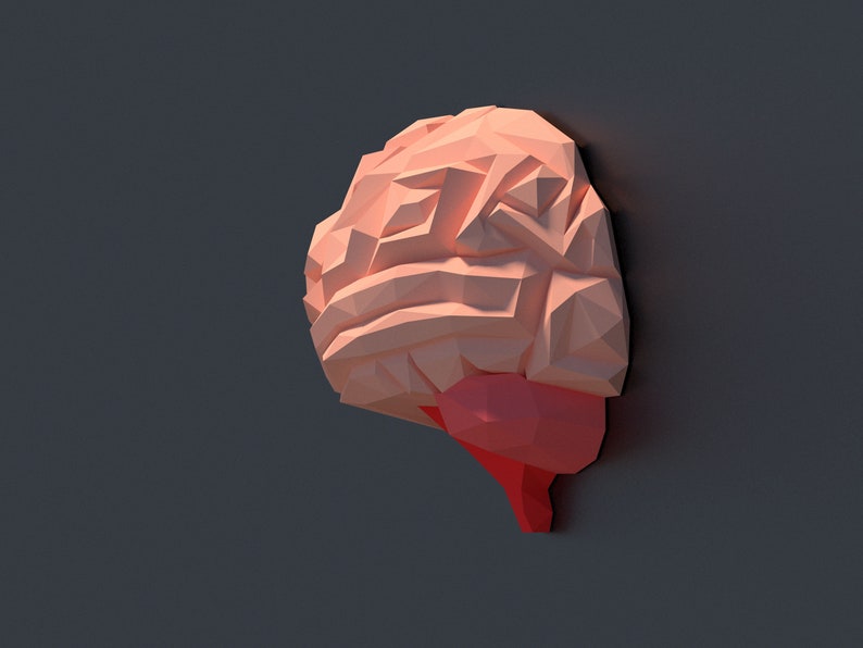 May include: A low-poly style 3D model of a human brain, rendered in pink and red. The brain is shown in profile, with the left hemisphere facing the viewer.
