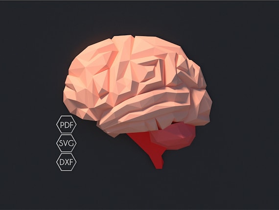 Papercraft 3d Brain template, paper brain, human brain halloween decor, 3D paper wall art, DIY wall decor, low poly brain, PDF  SVG template