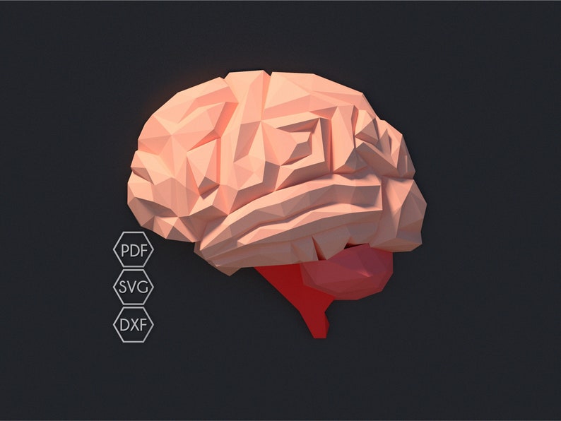 May include: A pink and red 3D polygonal brain model. The brain is made of many triangles and has a realistic shape. The model is perfect for a science classroom or a doctor's office.