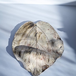 Ceramic Leaf | Raku pottery handmade ceramic leaf | Home design | Wall ceramic leaf | Wall decor | Living Room Decor | Raku Art | Wabi Sabi