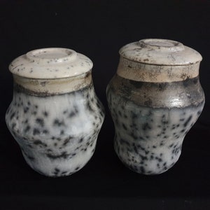 Raku Ceramic Cremation Urns for Couples: One-of-a-Kind Companion Urns