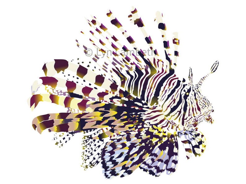 Download Instant Download Lionfish Digital Illustration Hand Drawn Digital Fish Graphic Original Fish Art Clip Art Art Collectibles