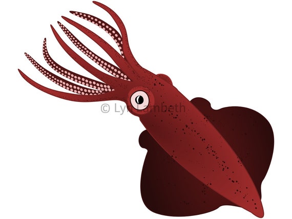Free Free Squid Svg Free 615 SVG PNG EPS DXF File