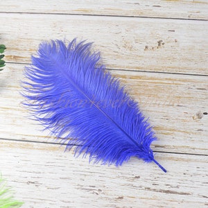 10pcs 7-9/11-13 Inches Long Blue Ostrich Feathers 4-6/6-8 inches Wide Feathers, Ostrich Feathers, Crafts Supplies