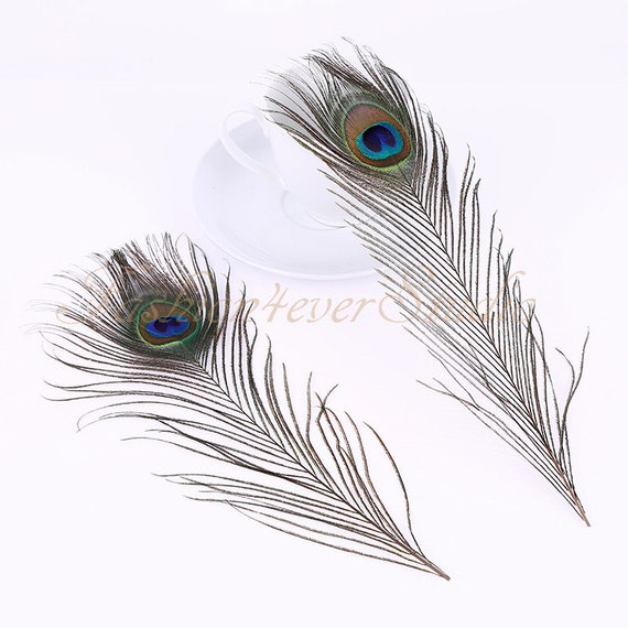 12 Pack: Peacock Feather Pick by Ashland®