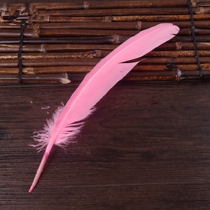 10pcs 12-14 Zoll Long Pink Großfedern 2-2,5 Zoll Wide Federn, Türkei Quill Federn, Handwerksbedarf