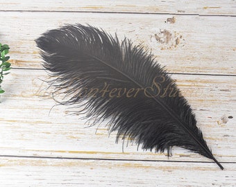 10pcs 7-9/11-13 pollici lunghe piume di struzzo nero 4-6/6-8 pollici ampie piume, piume di struzzo, forniture di artigianato