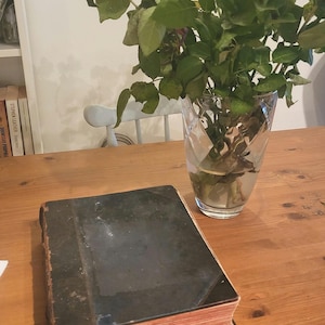 Antique Old  Book Life of Jesus Christ