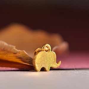 May include: A small, gold-colored elephant charm with a textured surface. The charm has a loop at the top for attaching to a necklace or bracelet. The background is a blurred mix of brown, orange, and pink.