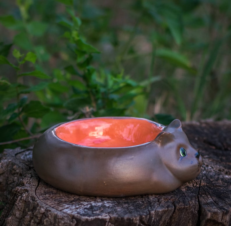 Kitty Cat Food Bowl