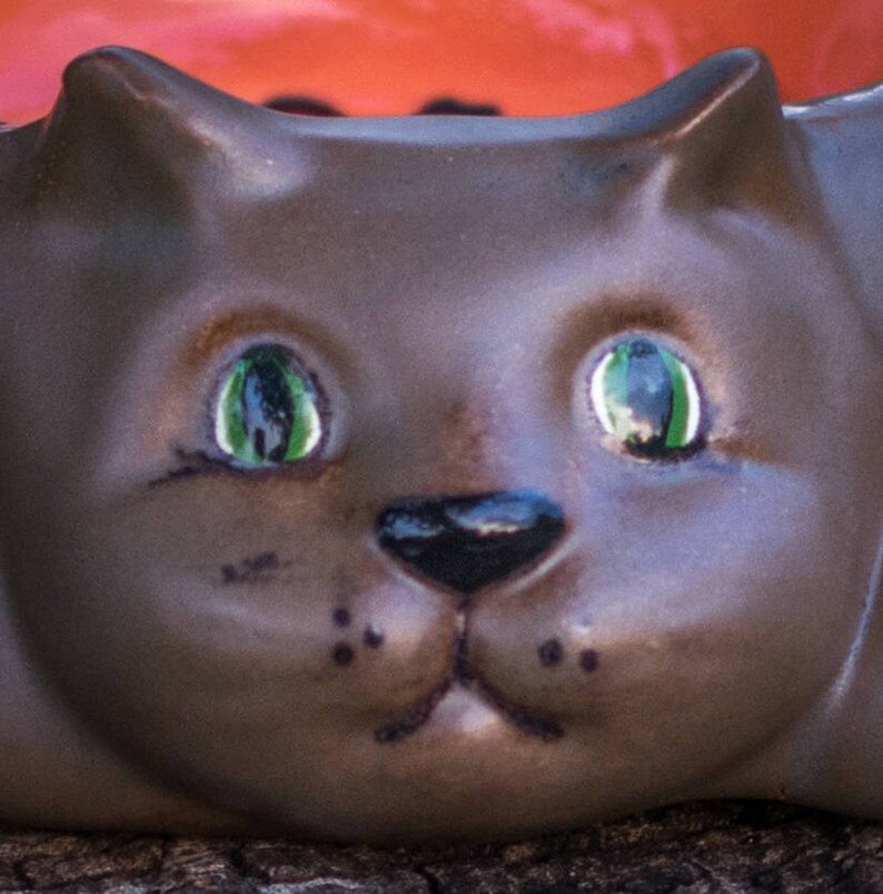 Kitty Cat Food Bowl