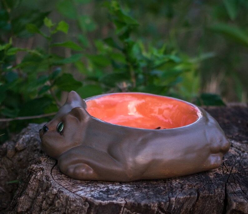 Kitty Cat Food Bowl