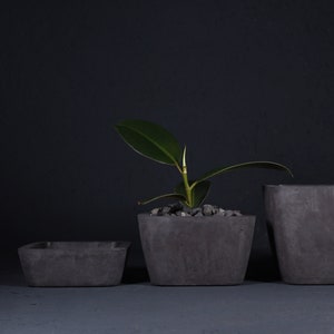 Raw Square Concrete Pot, Architectural Minimalist Planter, Unique Office Gift | VIRID COLLECTION