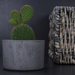 Charcoal concrete planter | Industrial beton pot | Scandinavian cement planter | Modern concrete decor