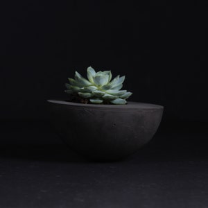 Hemisphere concrete planter | Charcoal beton plant pot | Cement planter | Pretty industrial decor