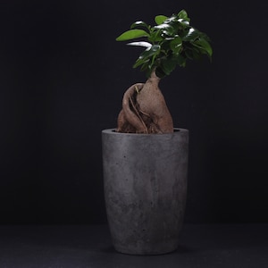 Deep charcoal beton pot | Modern concrete pots | Cement vase | Industrial bonsai pot