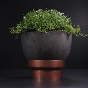 以下が含まれることがあります： 小さな葉を持つ緑の植物が入った、銅製の台座が付いた黒いコンクリート製のプランター