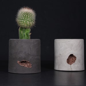 Könnte beinhalten: Zwei Beton-Pflanzer mit rauer Textur. Ein Pflanzer ist schwarz und der andere ist grau. Beide Pflanzer haben ein kleines Loch mit kupferfarbenem Kies im Inneren. Eine kleine Kakteenpflanze befindet sich im schwarzen Pflanzer.