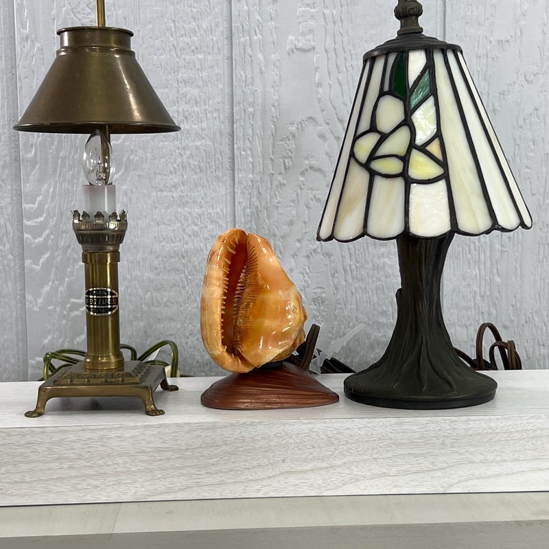 Conch Shell Lamp - Etsy