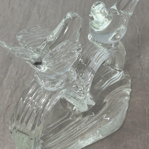 K&ouml;nnte beinhalten: Eine transparente Glasskulptur mit zwei V&ouml;geln, die auf einer gebogenen, gerippten Basis sitzen. Die V&ouml;gel haben detaillierte Fl&uuml;gel und Schn&auml;bel, und die Skulptur ist transparent. Es handelt sich wahrscheinlich um einen dekorativen Gegenstand.