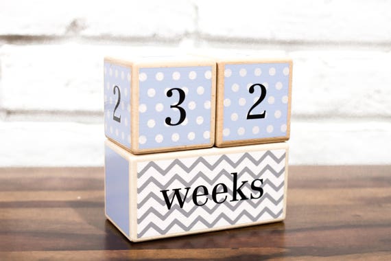 Free Shipping LovelySprouts Milestone Age BlocksSolid WoodBaby Age Phot..