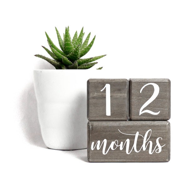 Premium Natural Baby Age Blocks | Solid Wood | Months, Weeks, Years, Grade Milestones | Baby Shower Gift, Photo Prop | Gray Stained